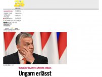 Bild zum Artikel: Ungarn erlässt Sondersteuern für Großunternehmen