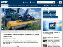 Bild zum Artikel: Landwirte aus dem Münsterland zerstören aus Protest Erdbeerfelder