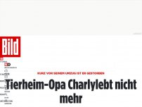 Bild zum Artikel: vor Umzug gestorben - Tierheim-Opa Charly lebt nicht mehr