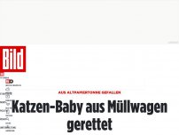 Bild zum Artikel: Aus Tonne gefallen - Katzen-Baby aus Müllwagen gerettet