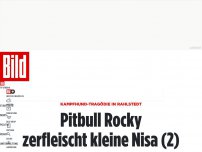 Bild zum Artikel: Kampfhund-Tragödie - Pitbull Rocky zerfleischt kleine Nisa (2)