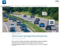 Bild zum Artikel: Trotz teurem Sprit: Deutsche fahren nicht langsamer