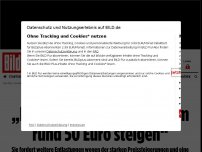 Bild zum Artikel: Grünen-Chefin Lang - „Der Hartz-IV-Satz sollte um rund 50 Euro steigen“
