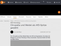 Bild zum Artikel: Chrupalla und Weidel als AfD-Spitze gewählt