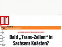 Bild zum Artikel: Sachsens Gleichstellungsministerin - Sie will Trans-Zellen in Sachsens Knästen