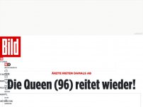 Bild zum Artikel: neun Monate Pferde-Pause - Die Queen (96) sitzt wieder fest im Sattel