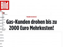 Bild zum Artikel: Teuer-Schock - Gas-Kunden drohen bis zu 2000 Euro Mehrkosten!