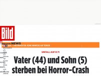 Bild zum Artikel: Unfall auf B 71 - Vater (44) und Sohn (5) sterben bei Horror-Crash