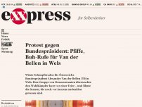 Bild zum Artikel: Protest gegen Bundespräsident: Pfiffe, Buh-Rufe für Van der Bellen in Wels
