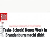 Bild zum Artikel: Tesla-Schock! - Neues Werk in Brandenburgmacht dicht