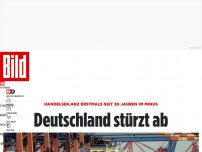 Bild zum Artikel: Deutschland stürzt ab - Handelsbilanz erstmals seit 30 Jahren im Minus