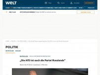 Bild zum Artikel: „Die AfD ist auch die Partei Russlands“