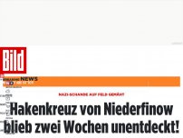 Bild zum Artikel: Nazi-Schande in Niederfinow - Hakenkreuz im Feld blieb zwei Wochen unentdeckt!