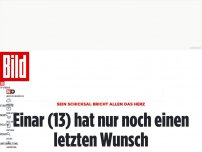 Bild zum Artikel: Sein Schicksal bricht allen das Herz - Einar (13) hat nur noch einen letzten Wunsch