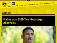 Bild zum Artikel: Haller aus BVB-Trainingslager abgereist