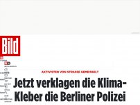 Bild zum Artikel: Aktivisten von Straße gemeißelt - Klima-Kleber verklagen die Berliner Polizei