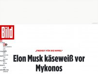 Bild zum Artikel: „Freiheit für die Nippel“ - Elon Musk käseweiß vor Mykonos
