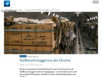 Bild zum Artikel: Europol: Waffenschmuggel aus der Ukraine