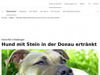 Bild zum Artikel: Hund mit Stein in der Donau ertränkt!<br>