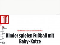 Bild zum Artikel: Schädelbruch nach grausamer Tat - Kinder spielen Fußball mit Baby-Katze