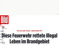 Bild zum Artikel: 530 000 Euro teuer, aber keine Zulassung - Feuerwehr ignoriert TÜV und rettet damit Leben