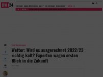 Bild zum Artikel: Eiswinter in der Gaskrise? Das sagt der Jahreszeitentrend für das Winterwetter voraus