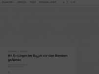 Bild zum Artikel: Mit Drillingen im Bauch vor den Bomben geflohen