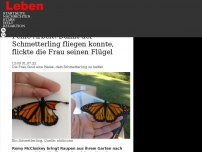 Bild zum Artikel: Feine Arbeit: Damit der Schmetterling fliegen konnte, flickte die Frau seinen Flügel