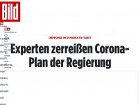 Bild zum Artikel: Impfung im 3-Monats-Takt - Experten zerreißen Corona-Plan der Regierung