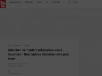 Bild zum Artikel: München verhindert Wildparken von E-Scootern - Unerlaubtes Abstellen wird jetzt teuer