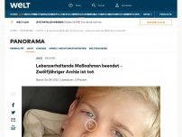 Bild zum Artikel: Lebenserhaltende Maßnahmen beendet – Zwölfjähriger Archie ist tot