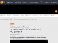 Bild zum Artikel: Haldenwang sieht Extremisten in AfD gestärkt
