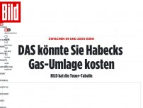 Bild zum Artikel: BILD hat die Teuer-Tabelle - DAS könnte Sie Habecks Gas-Umlage kosten