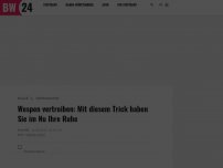 Bild zum Artikel: Wespen vertreiben: Mit diesem Trick haben Sie im Nu Ihre Ruhe