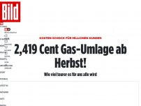 Bild zum Artikel: Kosten-Schock für Millionen Kunden - Knapp 2,5 Cent Gas-Umlage ab Herbst!