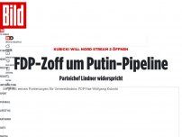 Bild zum Artikel: Kubicki will Nord Stream 2 öffnen - FDP-Zoff um Putin-Pipeline