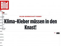 Bild zum Artikel: Polizei-Gewerkschaft fordert - Klima-Kleber müssen in den Knast!