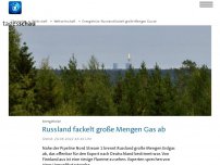 Bild zum Artikel: Russland verbrennt große Mengen Gas