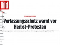 Bild zum Artikel: Wegen der Krise - Verfassungsschutz warnt vor Herbst-Protesten