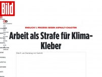 Bild zum Artikel: Erster Prozess dieser Art - Nötigung! Klima-Kleber in Berlin verurteilt
