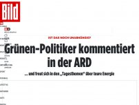 Bild zum Artikel: Ist das noch unabhängig? - Grünen-Politiker kommentiert in der ARD