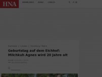 Bild zum Artikel: Geburtstag auf dem Eichhof: Milchkuh Agnes wird 20 Jahre alt