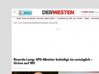 Bild zum Artikel: Ricarda Lang: SPD-Minister beleidigt sie unmöglich – Grüne auf 180