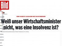 Bild zum Artikel: Irre Habeck-Aussagen bei Maischberger - Weiß der Wirtschaftsminister nicht, was eine Insolvenz ist?