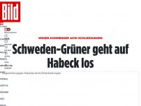 Bild zum Artikel: Wegen kommender AKW-Schließungen - Schweden-Grüner geht auf Habeck los