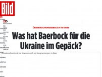 Bild zum Artikel: Überraschungsbesuch in Kiew - Was hat Baerbock für die Ukraine im Gepäck?