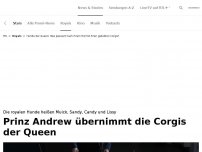 Bild zum Artikel: Wer jetzt die Corgis der Queen bekommt<br>