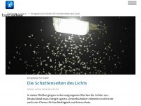 Bild zum Artikel: Lichtverschmutzung: Dunkelheit als Chance