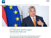 Bild zum Artikel: EU-Parlament spricht Ungarn Demokratie-Status ab