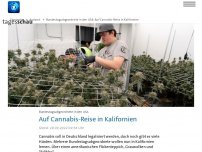 Bild zum Artikel: Bundestagsabgeordnete auf Cannabis-Reise in Kalifornien